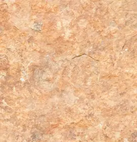 ShreeShyam_Onida Orange granite