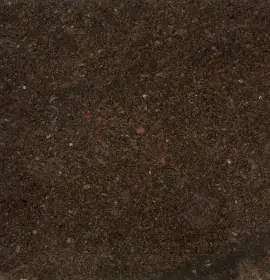 ShreeShyam_Coffee Brown granite