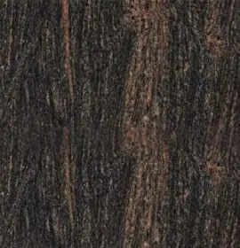 ShreeShyam_Bose Paradiso Granite