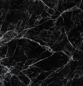 ShreeShyam_Black markino Granite