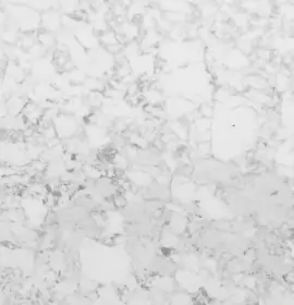 ShreeShyam_china white